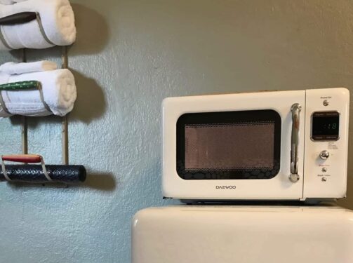 Microwave and refrigerator